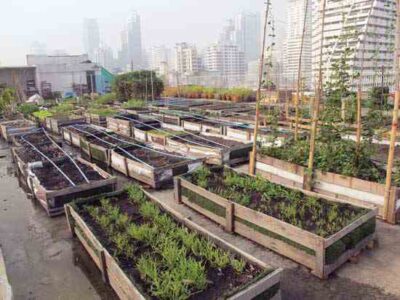 Rooftop School Garden in Bangkok Image